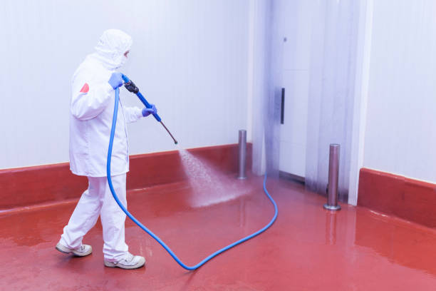 Pre-Holiday Cleaning in Port Morris, NJ